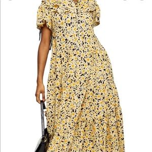 Topshop Daisy Dress
